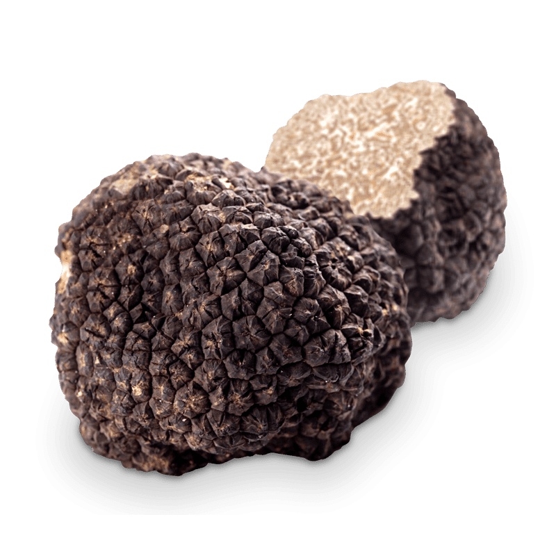 Les Morceaux de Truffes Noires du Périgord, Vente de Bocal Truffe noire